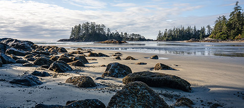 NEW TOUR: An Immersive Learning Experience in Tofino