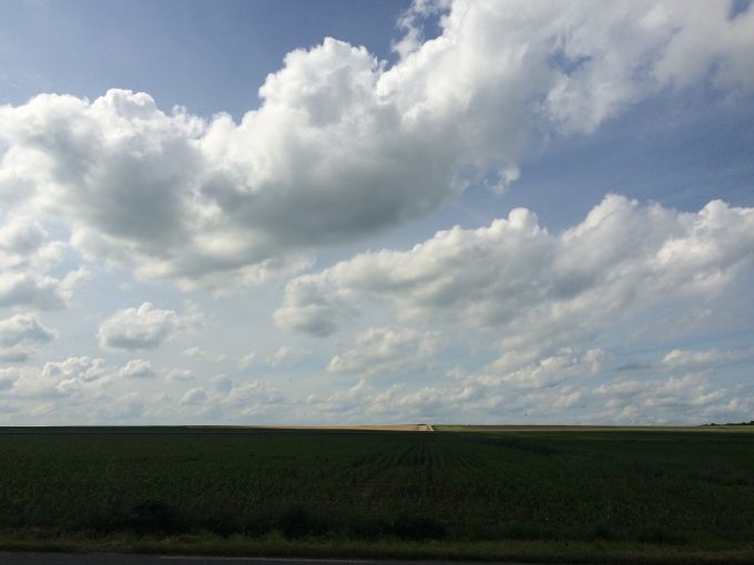 Flanders fields