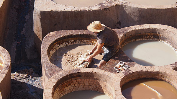 Man working at tannery