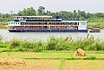 Bengal Ganga