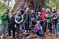 Artists on an excursion to Meares Island off the coast of Tofino
