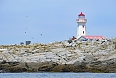 The lighthouse on Machias Seal Island