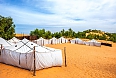 Desert Camp 