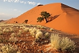 Desert landscape in Namibia