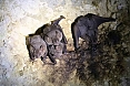 We may find bats and owls at Cueva de los Indios. (photo: Sherry Kirkvold)