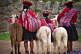 Peruvian girls and alpacas in Cusco