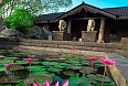 Forest Rock Garden Resort, Anuradhapura